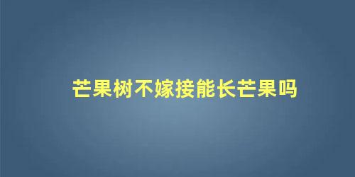 芒果树不嫁接能结果吗?(芒果树不嫁接能结果子吗)